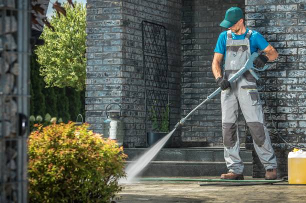 Best Animal Enclosure Cleaning  in Angola, NY